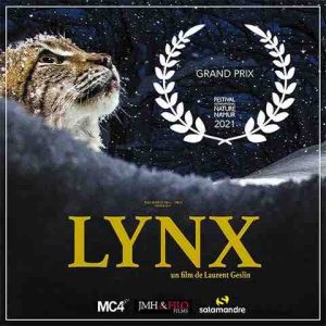 «LYNX», Grand Prix au Festival International Nature Namur