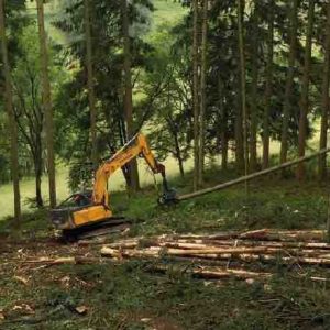 RMC Découverte : records de saison pour «Bûcheron : un métier à hauts risques»