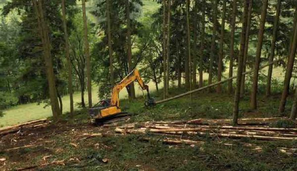 RMC Découverte : records de saison pour «Bûcheron : un métier à hauts risques»