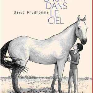 RTL : «Du bruit dans le ciel», Grand Prix RTL de la Bande Dessinée 2021