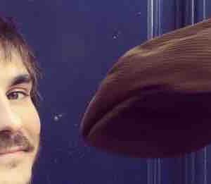 Culturebox : soirée Gauvain Sers mercredi 8 décembre dès 21h05