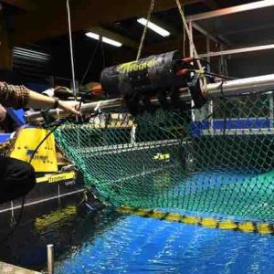 Des filets de pêche intelligents pour réduire la prise d’espèces non ciblées