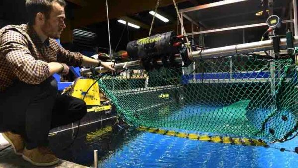 Des filets de pêche intelligents pour réduire la prise d’espèces non ciblées