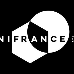 Les longs-métrages d’animation représentent 4% des films français sur les plateformes SVOD