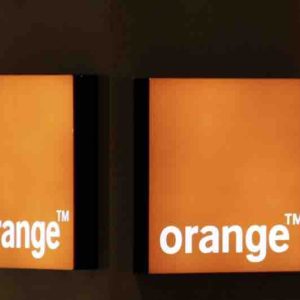Orange lance «Orange Nature»