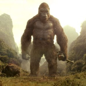 TF1 : «Kong : Skull Island», proche de la barre des 3.000.000 dimanche