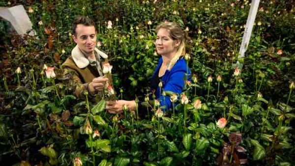 France 5/ «Sur le Front»: «Saint-Valentin : que cachent nos bouquets?» présenté par Hugo Clément lundi 7 février dès 21h00