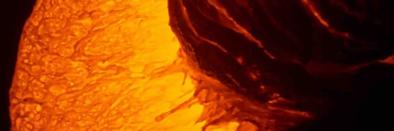 Le film «Rock Bottom Riser» récompensé Bilboa International Festival of Documentary and Short Film