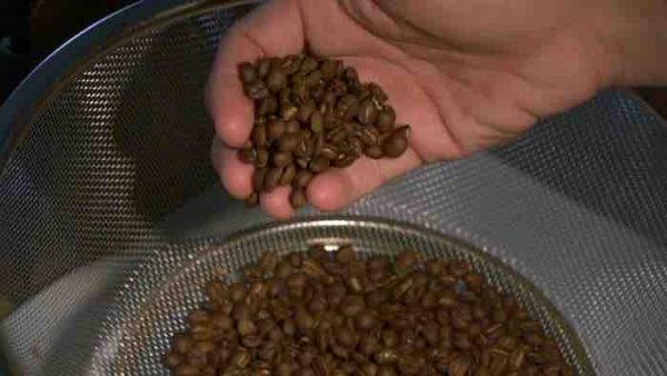 France Télévisions : le documentaire inédit «Café calédonien, l’alchimie d’un pays» sur La1ere.fr et sur France 3 le lundi 28 janvier 2022