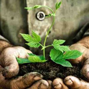 France tv/ «Au nom de la terre» : dispositif spécial du pôle Outre-mer