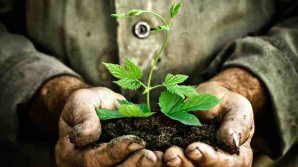 France tv/ «Au nom de la terre» : dispositif spécial du pôle Outre-mer