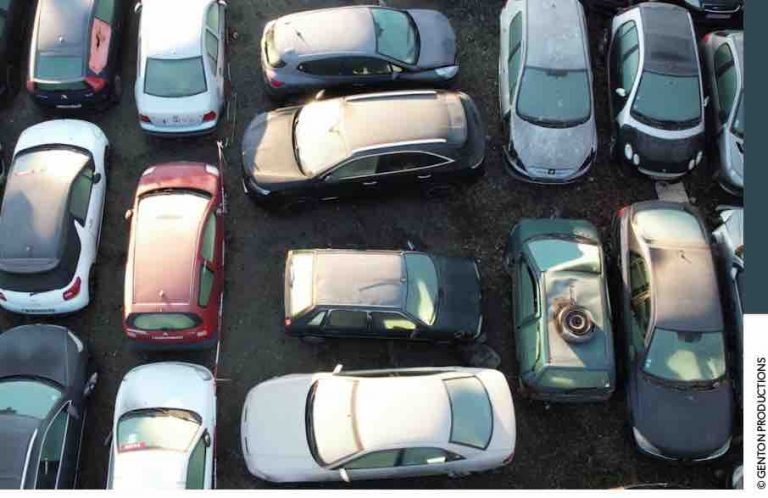 RMC Story : la nouvelle saison de la série  documentaire «Immersion dans une méga fourrière» dès le jeudi 3 mars