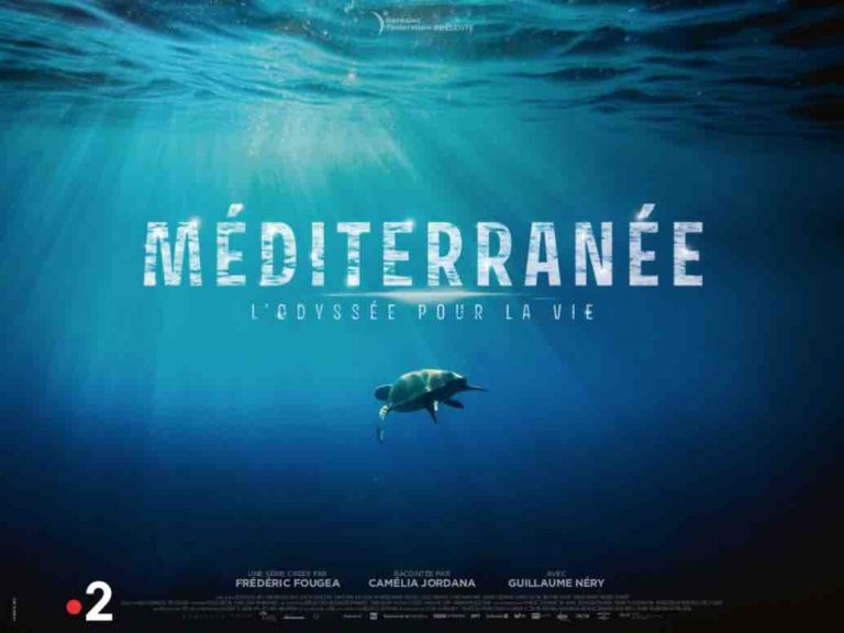 France 2 : la série documentaire «Méditerranée : L’odyssée pour la vie» les 12 et 19 avril