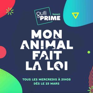 Gulli PRIME : le nouveau divertissement «Mon animal fait la loi» dès le mercredi 23 mars à 21h05