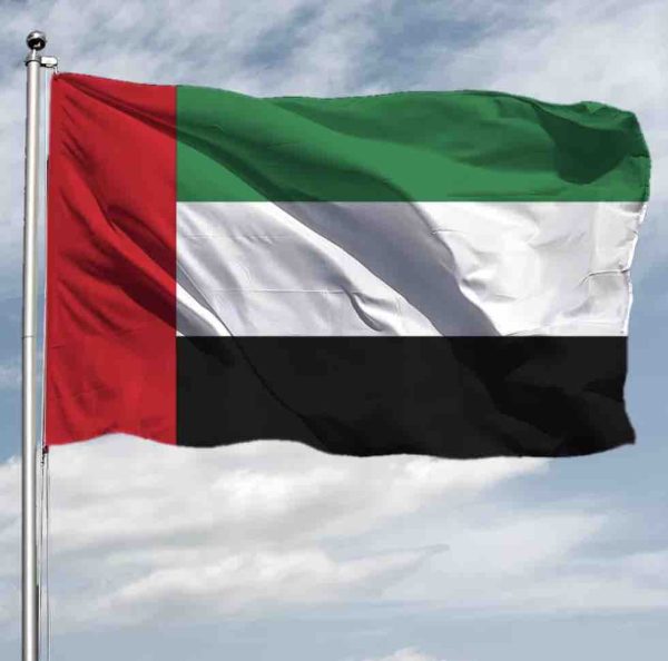 L’art numérique fait une première apparition à Dubaï, qui veut devenir un hub international des cryptomonnaies