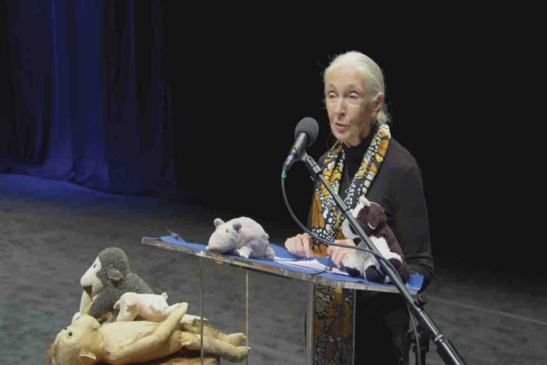 National Geographic : programmation spéciale pour la «Journée de la Terre» vendredi 22 avril