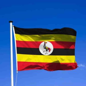 Ouganda: la police confirme l’arrestation de l’écrivain ougandais et militant des droits de l’homme, Norman Tumuhimbise
