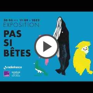 Radio France : «Pas si bêtes», une exposition tout public sur le monde animal sonore, à la Maison de la Radio et de la Musique du 30 mars au 11 septembre 2022