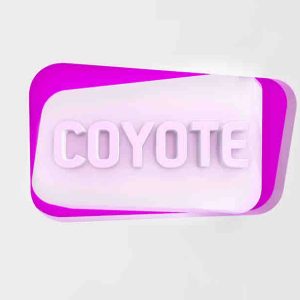 Coyote annonce le départ de Laetitia Lamic, directrice Générale Adjointe et Pauline Chapatte, directrice des programmes