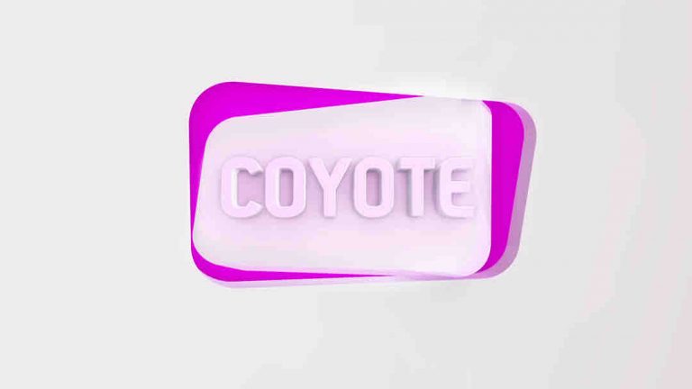 Coyote annonce le départ de Laetitia Lamic, directrice Générale Adjointe et Pauline Chapatte, directrice des programmes