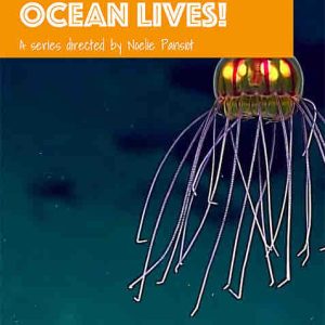 GEDEON Programmes lance la production d’une série pédagogique sur les océans pour Lumni