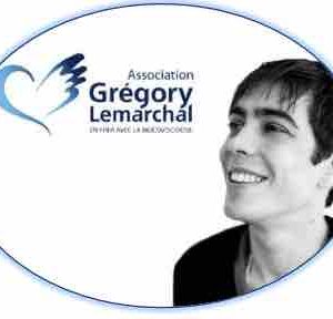 Groupe TF1 : programmation spéciale pour les 15 ans de l’Association Grégory Lemarchal sur TF1 et TMC le week-end du 30 avril et 1er mai