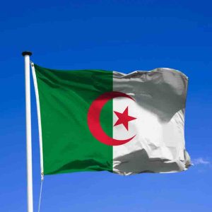 Yassir, la start-up 100% algérienne qui grandit au pas de course
