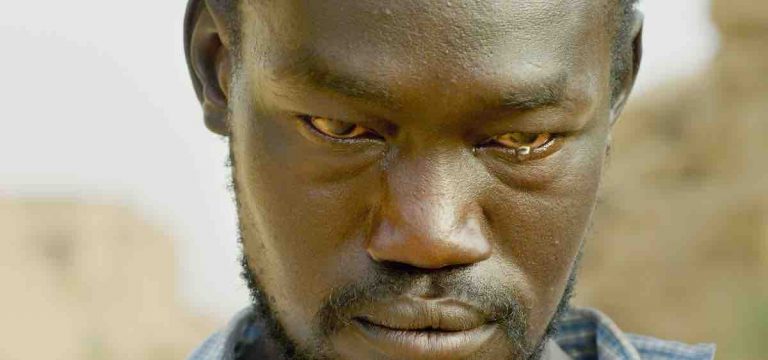 Dulac Distribution : «Le Barrage» d’Ali Cherri au Festival de Cannes 2022