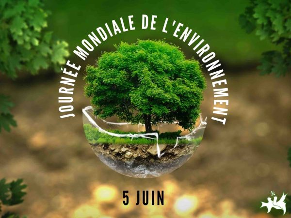 France 24 : programmation spéciale le 5 juin pour la Journée Mondiale de l’environnement