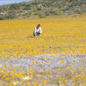 France 5/ «Science grand format» : «L’abominable mystère des fleurs» jeudi 19 mai