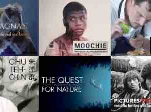 GEDEON Media Group : nouvelles ventes Terranoa
