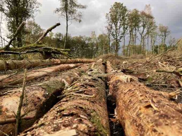 Public Sénat : «Forêts françaises, en quête d’avenir» samedi 21 mai à 21h00