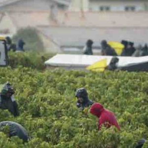 Public Sénat : «Les raisins de la misère» samedi 4 juin à 21h00
