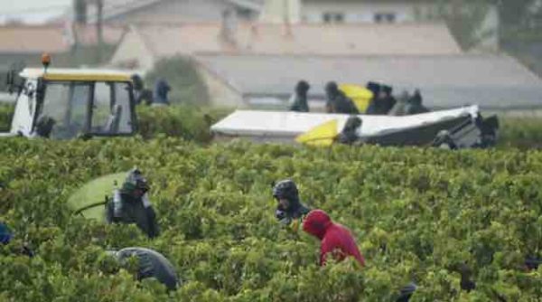 Public Sénat : «Les raisins de la misère» samedi 4 juin à 21h00