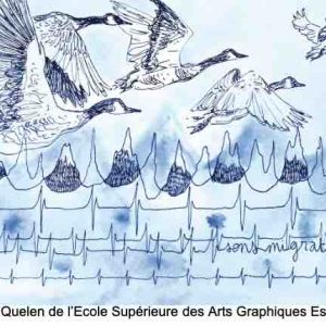 RFI / «Écouter le monde: Sons migrateurs» : rencontre publique le vendredi 13 mai à la BnF