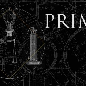 TV5MONDEplus lance la nouvelle websérie «Primo»
