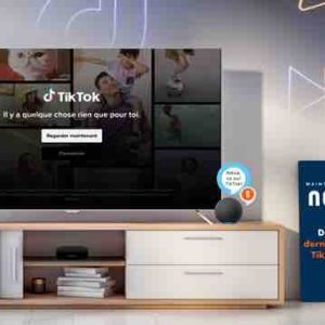 TikTok disponible sur la plateforme Netgem TV
