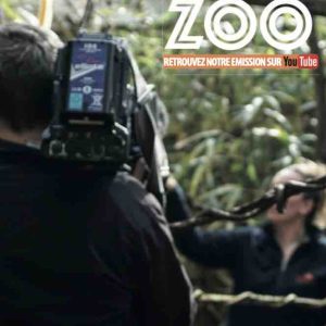 «Une Saison au Zoo», nouvelle saison dès le 24 mai sur Youtube et Youtube Kids