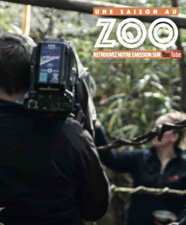 «Une Saison au Zoo», nouvelle saison dès le 24 mai sur Youtube et Youtube Kids