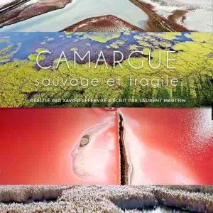 ARTE : le documentaire «La Camargue, sauvage et fragile» vendredi 24 juin