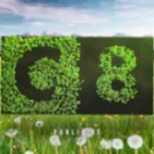 CANAL+ Brand Solutions : Léa Nature et l’agence Business inaugurent le dispositif écran Green de C8