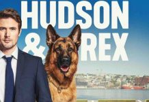 France 3 : «Hudson et Rex» en baisse (-93.000) dimanche