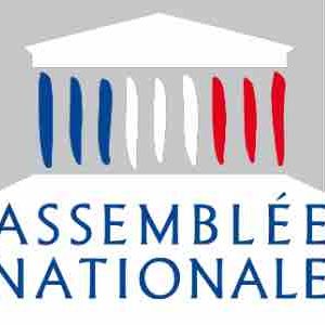 RFI : programmation spéciale élections législatives françaises les 12 et 19 juin