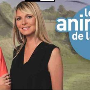 C8 : «Les Animaux de la 8», nouvelle saison inédite dès le 4 septembre à 11h00