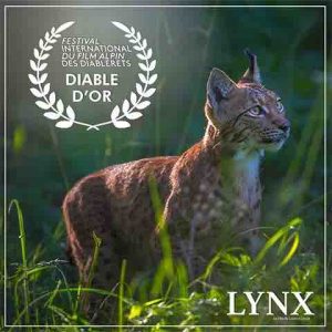 Le film «LYNX» de Laurent Geslin de nouveau primé