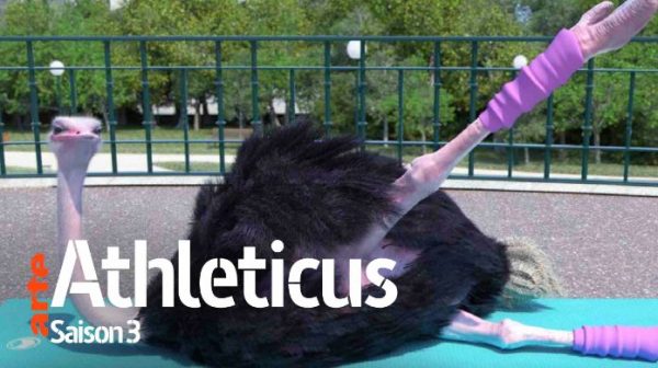 ARTE : «Athleticus», la série courte d’animation de Nicolas Deveaux, revient avec une saison 3 dès le 9 septembre à 20h50
