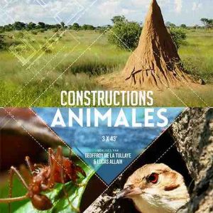 ARTE : la collection documentaire «Constructions animales» du 3 au 5 octobre