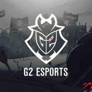 Esport : le patron de G2 démissionne