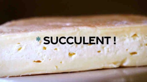 France 3 : le magazine «Succulent» de retour pour un second numéro le samedi 1er octobre