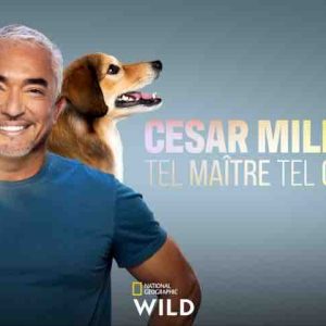 NGW : «Cesar Millan: Tel Maître, Tel Chien» revient pour une 2ème saison dès le 14 octobre